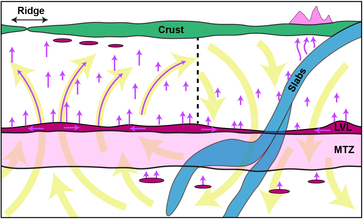 Cycle interne de l'eau