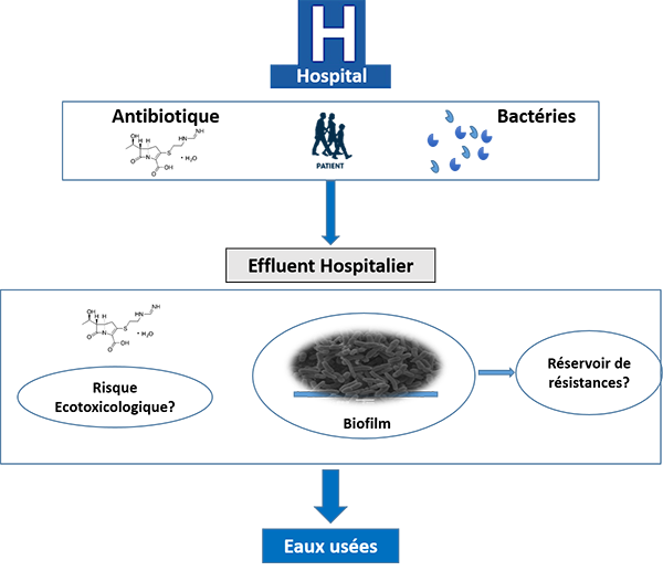 Lh?pital, lieu dchange entre les malades et lenvironnement?